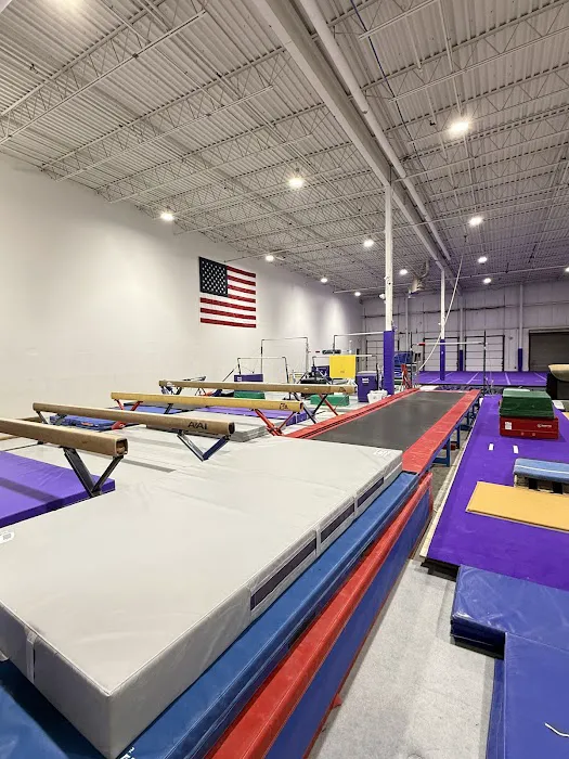 Sisters Gymnastics Academy Picture 7