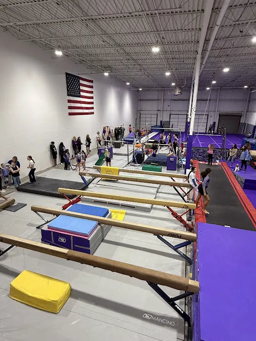 Sisters Gymnastics Academy Picture 3