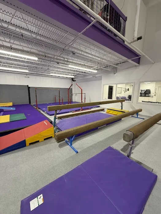 Sisters Gymnastics Academy Picture 9