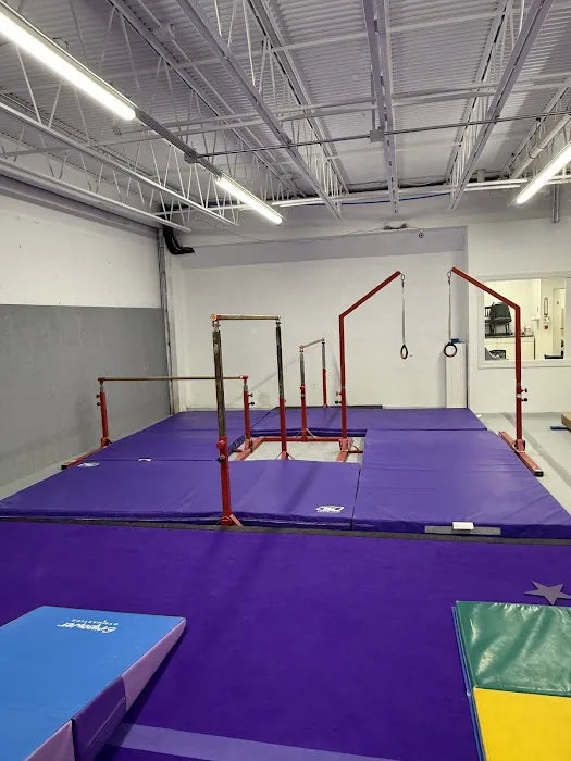 Sisters Gymnastics Academy Picture 8