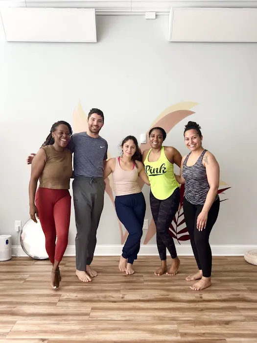 The Zen Lounge Yoga & Wellness Picture 4