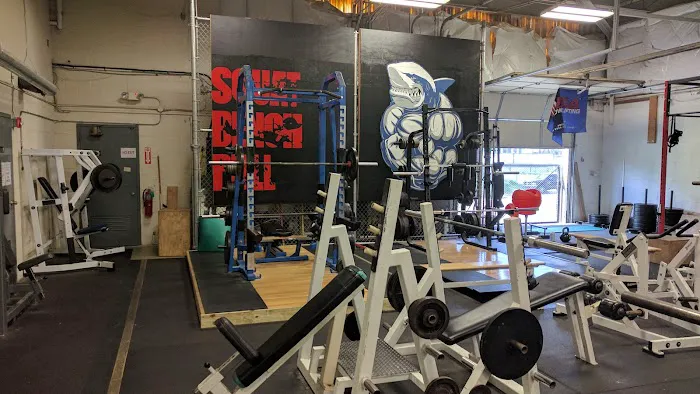Chiseled Health and Fitness Picture 1