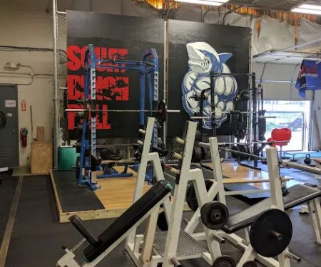 Chiseled Health and Fitness