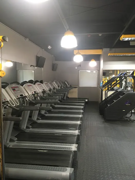 Smash Fitness Picture 8