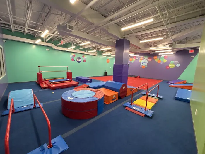 The Little Gym of Florham Park Picture 3
