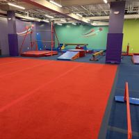 The Little Gym of Florham Park ico