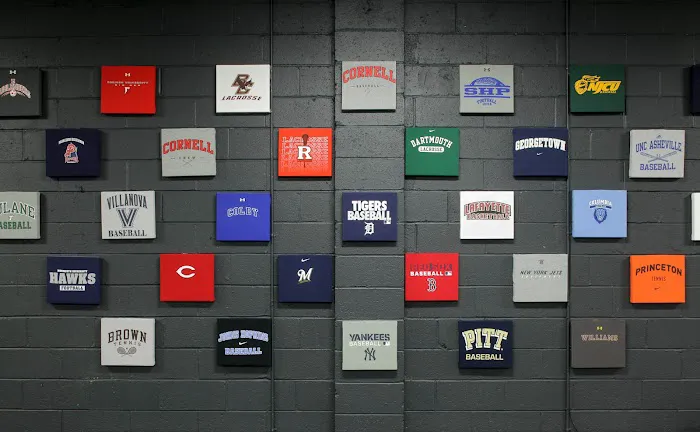 Annex Sports Performance and Fitness Picture 1