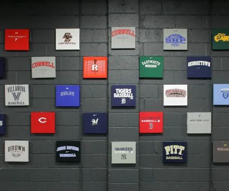 Annex Sports Performance and Fitness