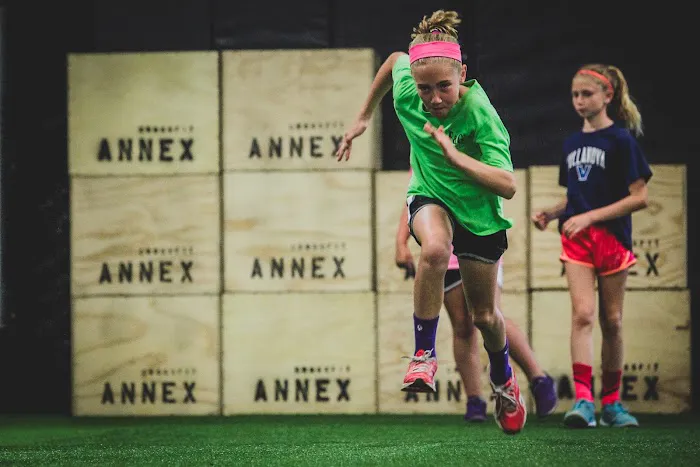 Annex Sports Performance and Fitness Picture 8