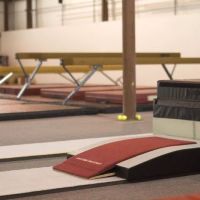 Bearfoot Gymnastics ico