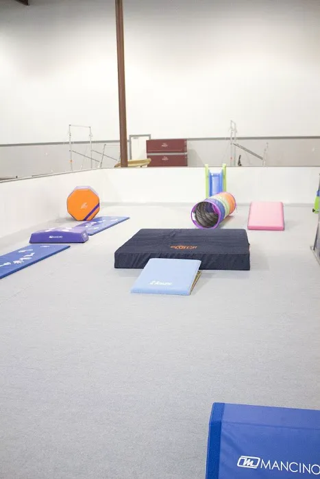 Bearfoot Gymnastics Picture 6