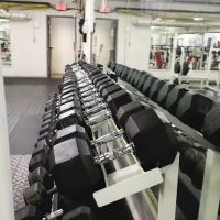 The North Club Health & Fitness ico