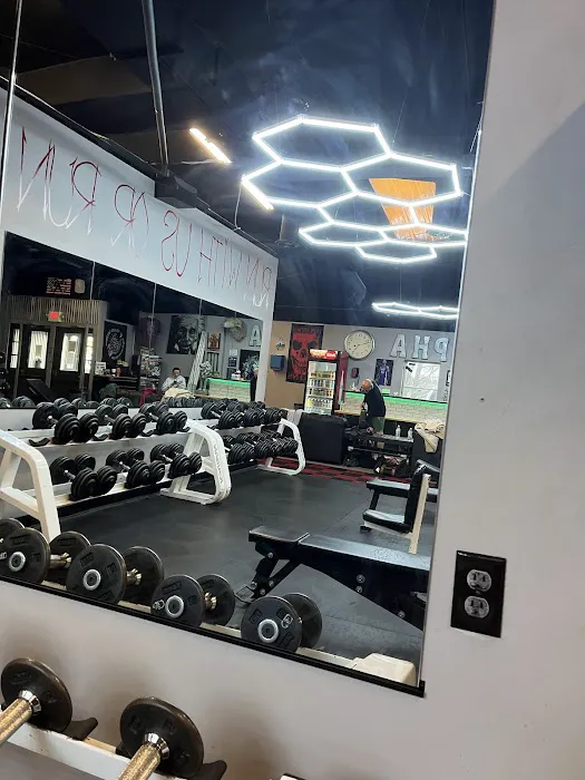 Alpha Fitness Picture 5