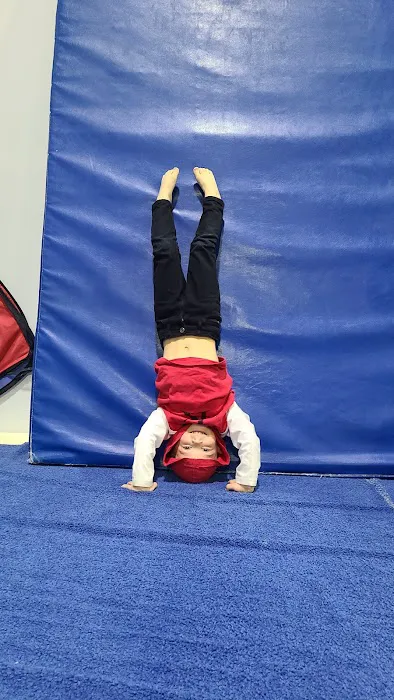 Wilson School of Gymnastics and Dance Picture 6