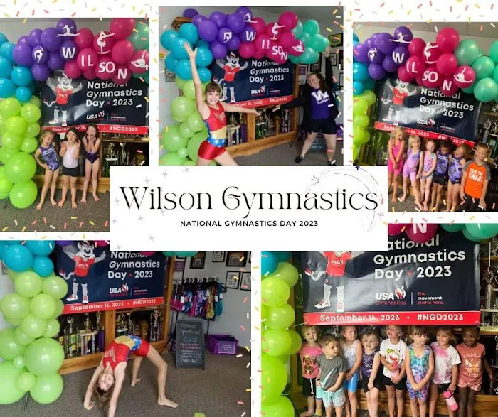 Wilson School of Gymnastics and Dance Picture 4