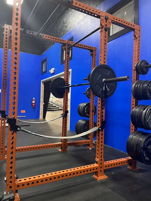 Gorilla House Gym Picture 5