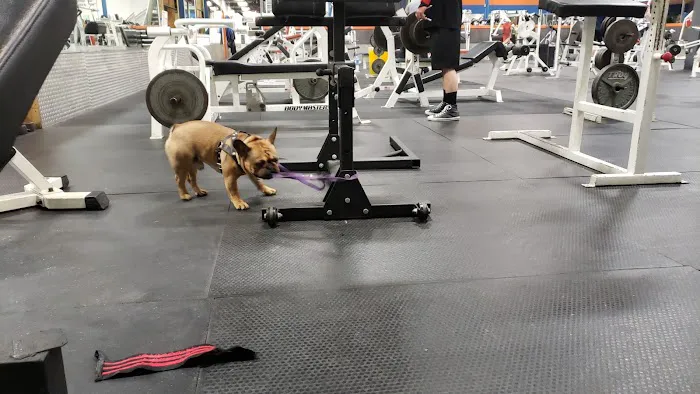 Brown's Gym, Inc. Picture 1