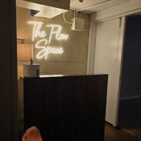 The Flow Space LLC ico