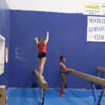 Monticello Gymnastics