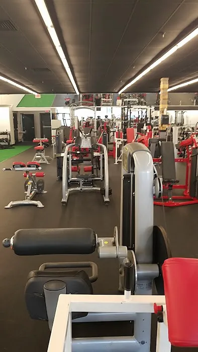 Temple Fitness Picture 5