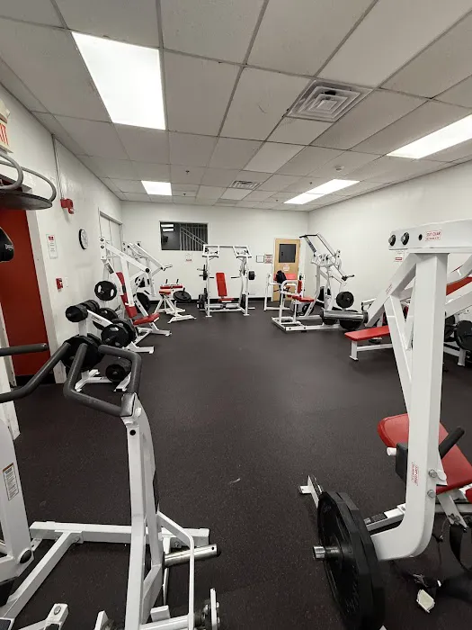 Forge Fitness Picture 9