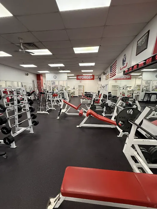 Forge Fitness Picture 7