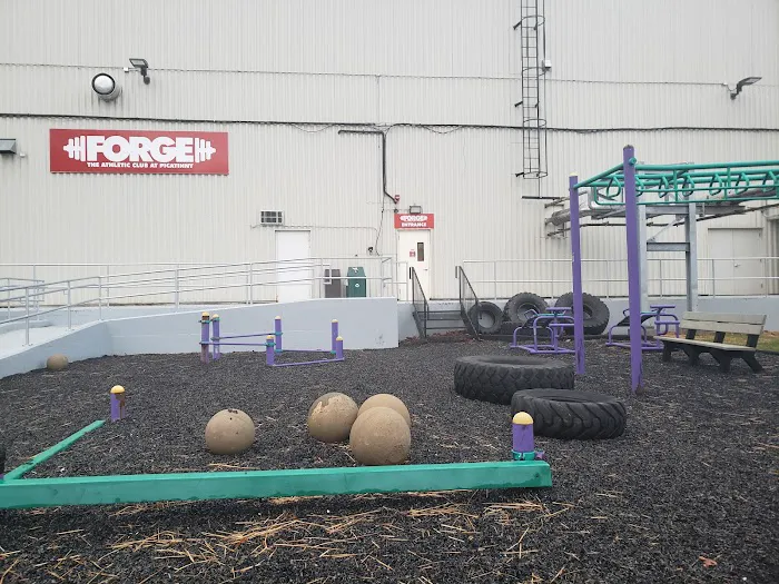 Forge Fitness Picture 1
