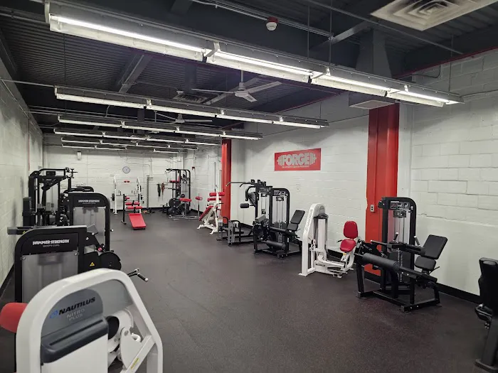 Forge Fitness Picture 2