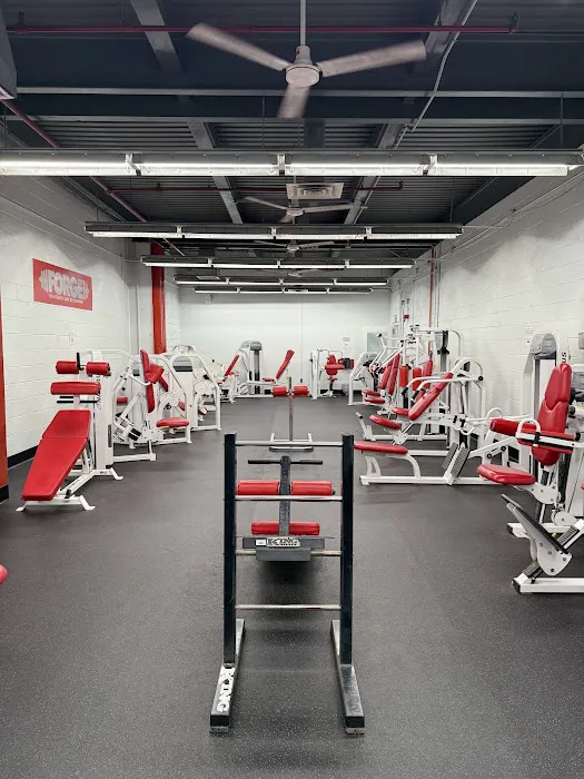 Forge Fitness Picture 5