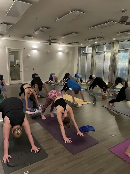 Hot Yoga Revolution - Metuchen Picture 7