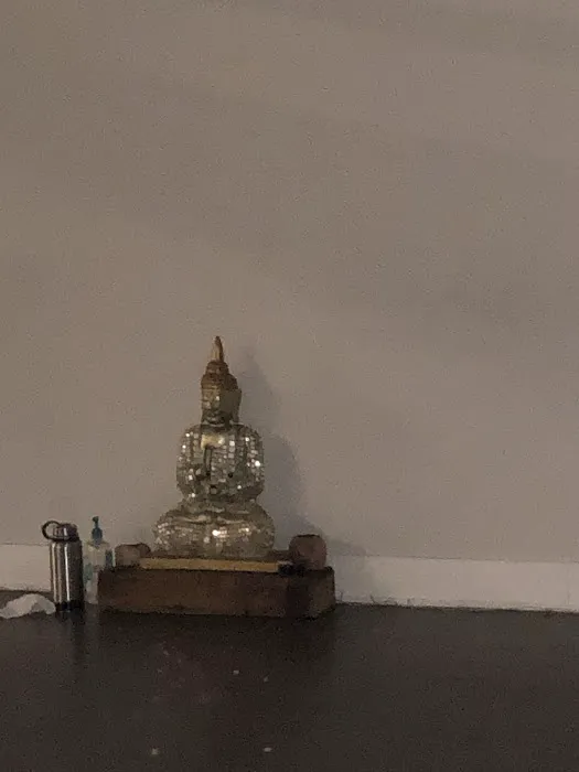 Hot Yoga Revolution - Metuchen Picture 6