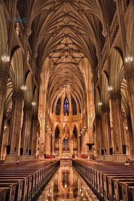 St. Francis Cathedral CYO Picture 5