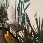 Bodhi Mind and Body Wellness