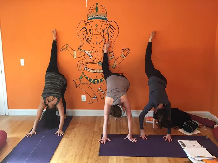 coba yoga Picture 4