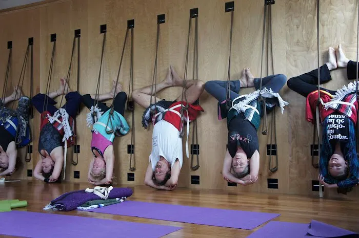 The Daley Practice Iyengar Yoga of Asbury Park Picture 3