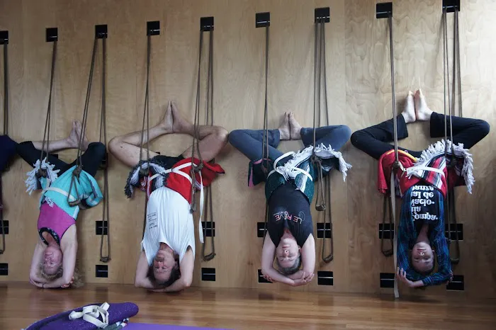 The Daley Practice Iyengar Yoga of Asbury Park Picture 6
