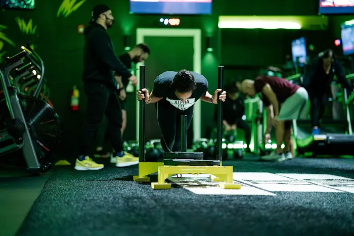 Alpha Fit Club Picture 7