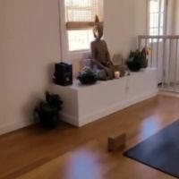 Jnana Yoga ico