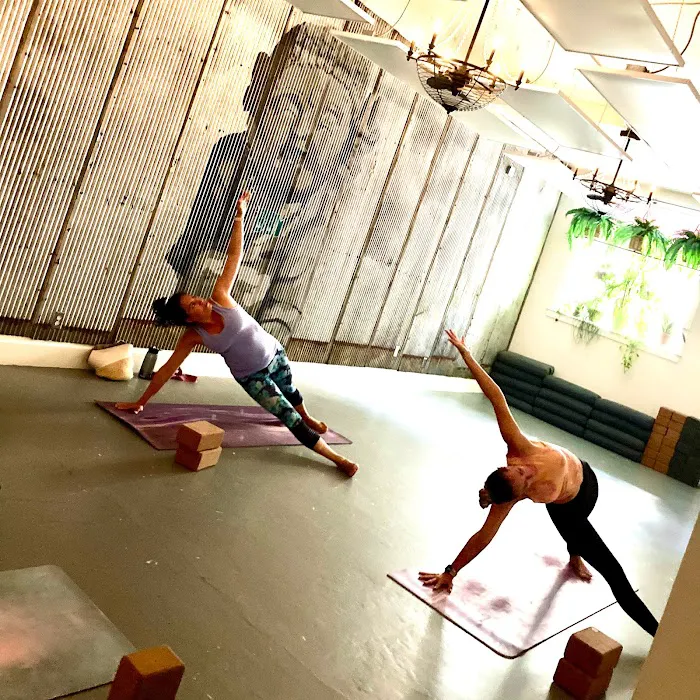 Brassy Buddha Yoga Studio Picture 4