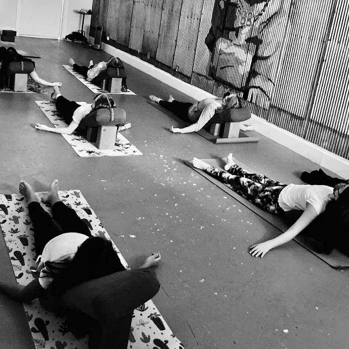 Brassy Buddha Yoga Studio Picture 9