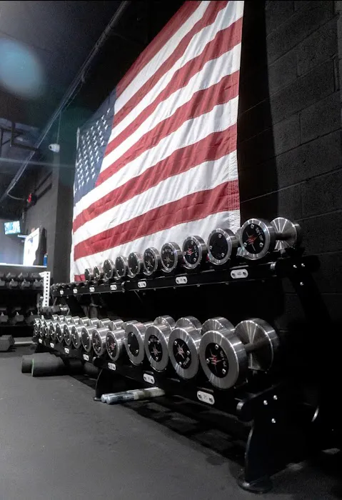 The Garage Gym Picture 2