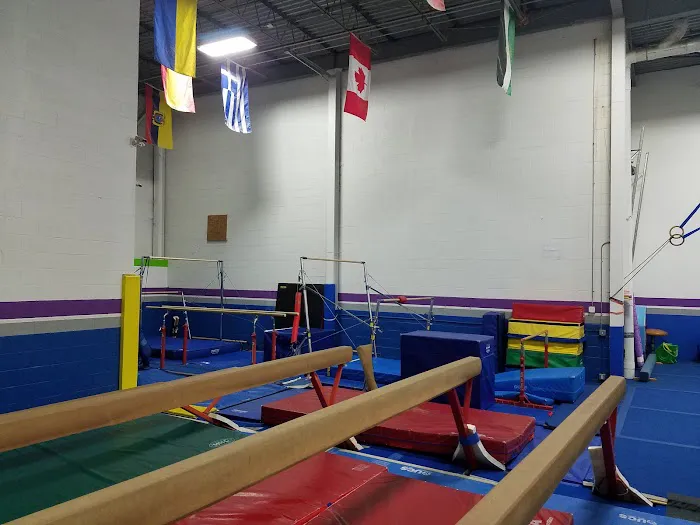 Twisters Gymnastics Picture 5