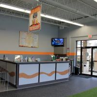 Serious Results Fitness ico