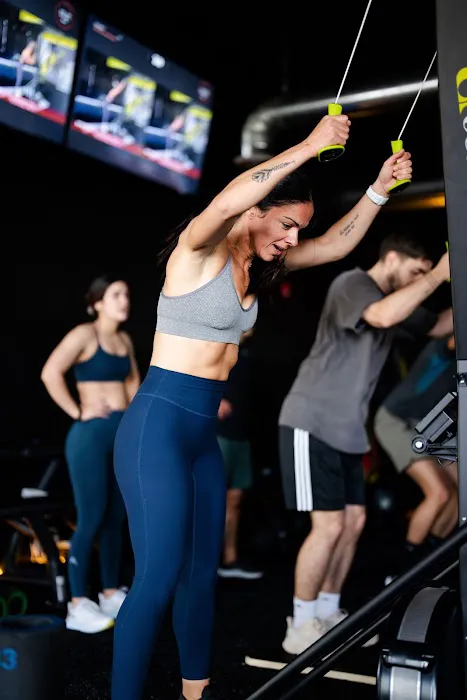 Alpha Fit Club Picture 5