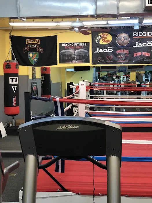 Beyond Fitness Boxing Picture 2