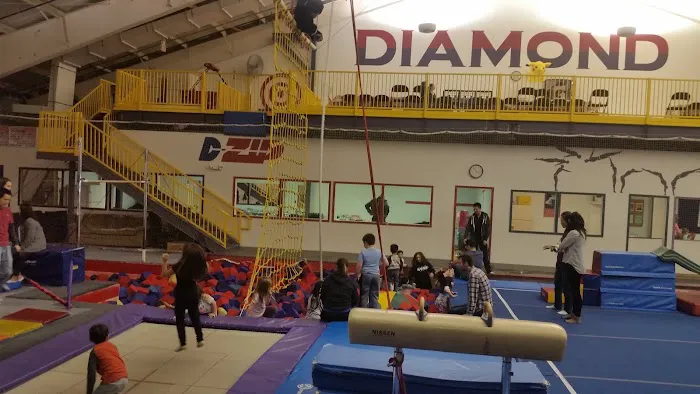 Diamond Gymnastics Picture 1