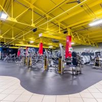 WBO Health & Fitness ico