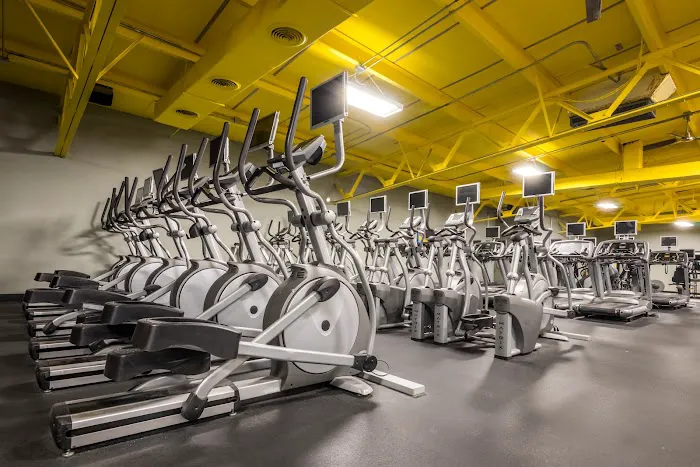 WBO Health & Fitness Picture 4