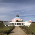 The JoY of Yoga and Wellness