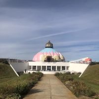 The JoY of Yoga and Wellness ico